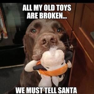 Meet your Posher, Cj